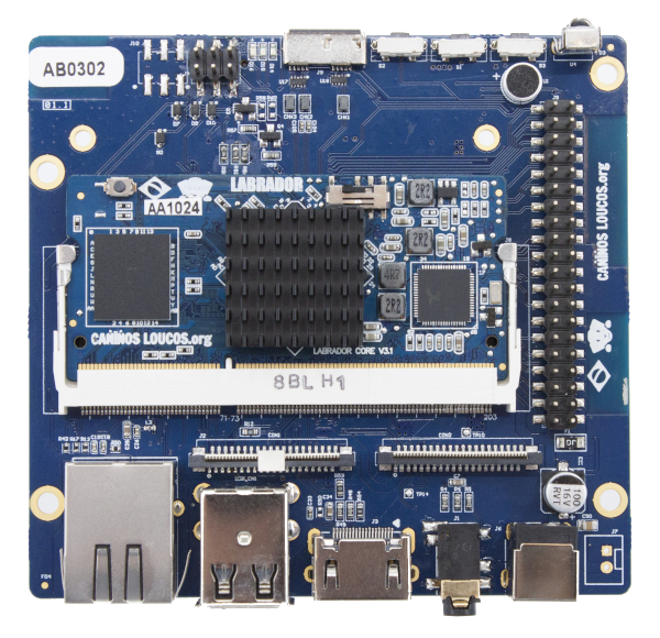 Labrador 64 bits